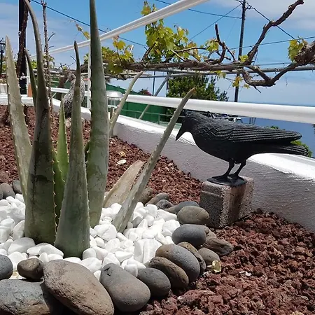 Casa María * Agulo